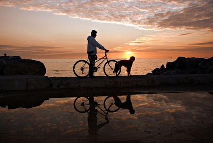 Urlaub mit Hund - auch eine mehrtägige Radtour ist bei genauer Planung möglich.